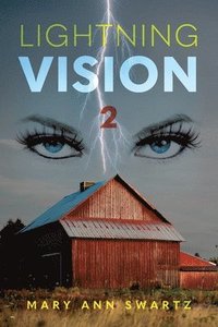 bokomslag Lightning Vision 2