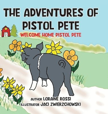 bokomslag Adventures of Pistol Pete