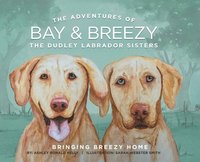 bokomslag Adventures of Bay & Breezy