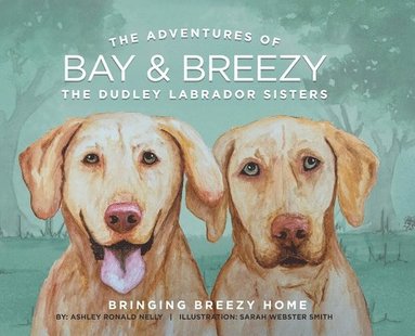 bokomslag Adventures of Bay & Breezy