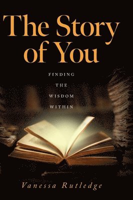 bokomslag Story of You