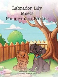 bokomslag Labrador Lily Meets Pomeranian Baxter