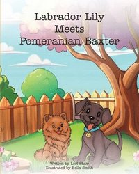 bokomslag Labrador Lily Meets Pomeranian Baxter