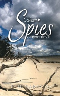 bokomslag Citizen Spies of Port Royal