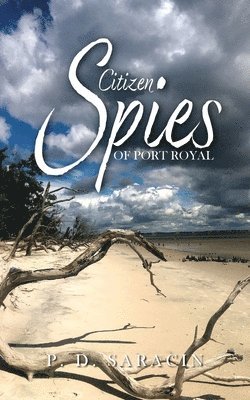 bokomslag Citizen Spies of Port Royal