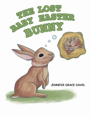 bokomslag Lost Baby Easter Bunny