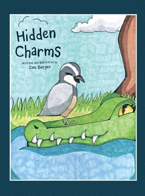 Hidden Charms 1