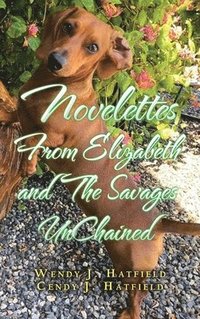 bokomslag Novelettes from Elizabeth and the Savages Unchained