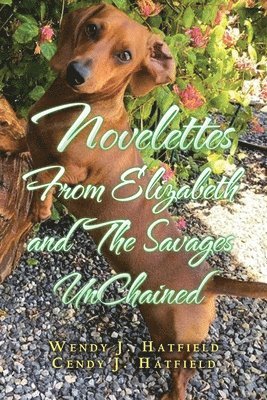 Novelettes from Elizabeth and the Savages Unchained 1