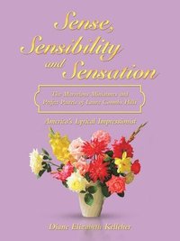 bokomslag Sense, Sensibility and Sensation