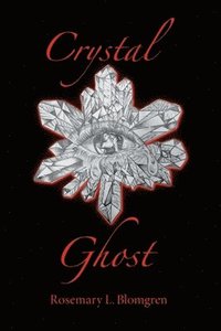 bokomslag Crystal Ghost