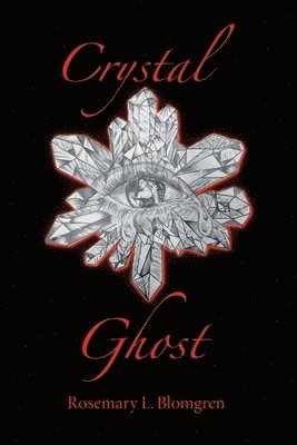 bokomslag Crystal Ghost