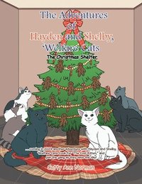 bokomslag The Adventures of Hayden and Shelby, 'Welfare Cats