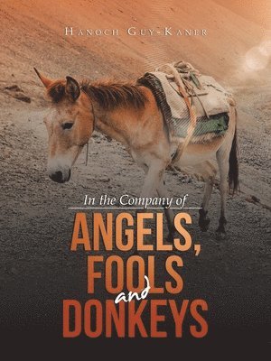 bokomslag In the Company of Angels, Fools and Donkeys