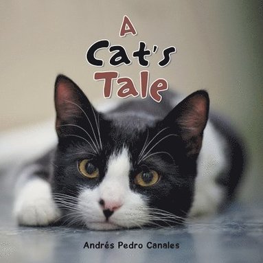 bokomslag A Cat's Tale