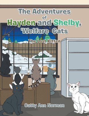 bokomslag The Adventures of Hayden and Shelby, 'Welfare Cats