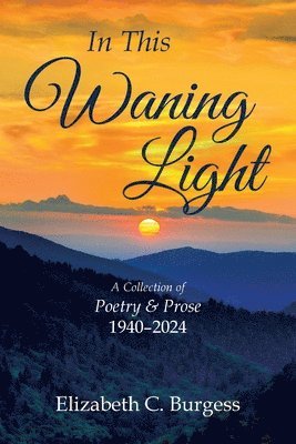 Elizabeth C Burgess, Elizabeth C. Burgess - In This Waning Light, Häftad