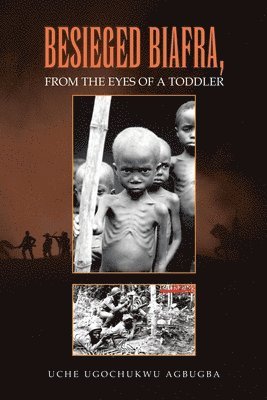 Besieged Biafra, from the Eyes of a Toddler 1