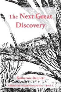 bokomslag The Next Great Discovery: A Heartland to Hometown Mystery Book 1