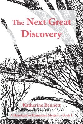 bokomslag The Next Great Discovery: A Heartland to Hometown Mystery Book 1