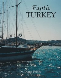 bokomslag Exotic Turkey
