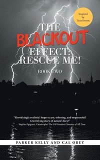 bokomslag The Blackout Effect