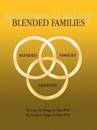 bokomslag Blended Families