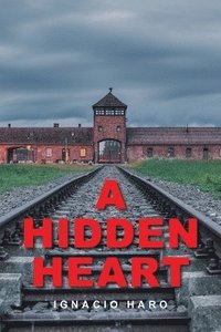 bokomslag Hidden Heart