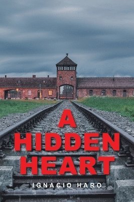 bokomslag Hidden Heart