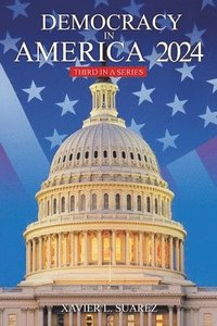 bokomslag Democracy in America 2024