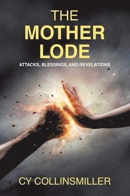 bokomslag Mother Lode