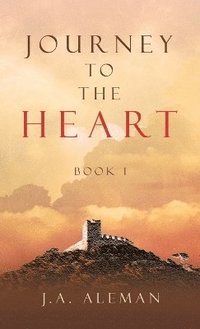 bokomslag Journey to the Heart