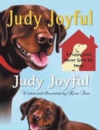 bokomslag Judy Joyful