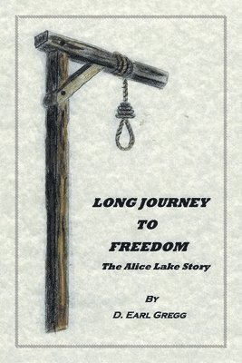 bokomslag Long Journey To Freedom