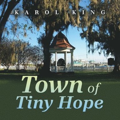 bokomslag Town of Tiny Hope
