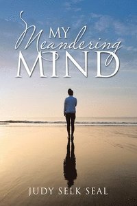 bokomslag My Meandering Mind