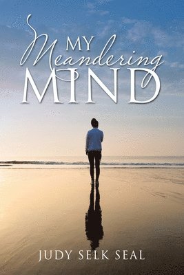 bokomslag My Meandering Mind