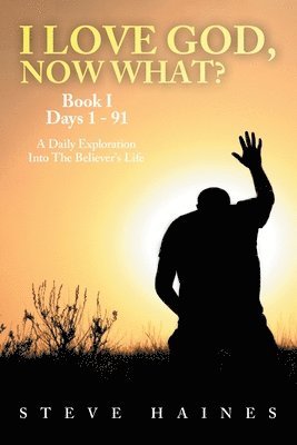 Steve Haines - I LOVE GOD, NOW WHAT? Book I Days 1 - 91, Häftad