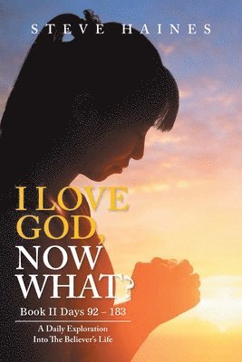 Steve Haines - I LOVE GOD, NOW WHAT? Book II Days 92 - 183, Häftad