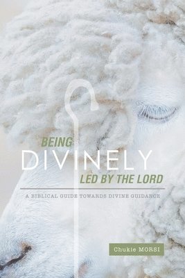 Being Divinely Led by the Lord 1