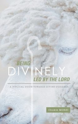 bokomslag Being Divinely Led by the Lord
