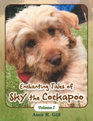 Enchanting Tales of Sky the Cockapoo 1