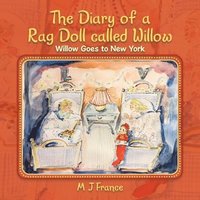 bokomslag The Diary of a Rag Doll called Willow