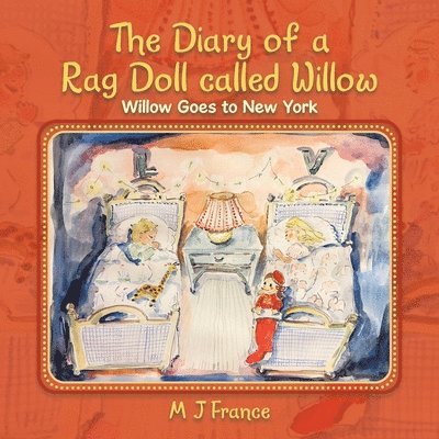 The Diary of a Rag Doll called Willow 1