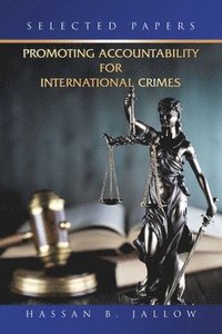 bokomslag Promoting Accountability for International Crimes