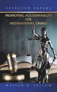 bokomslag Promoting Accountability for International Crimes