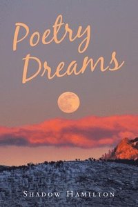 bokomslag Poetry Dreams