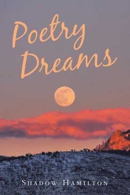 bokomslag Poetry Dreams