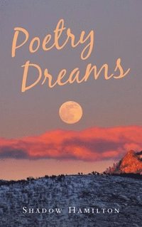 bokomslag Poetry Dreams