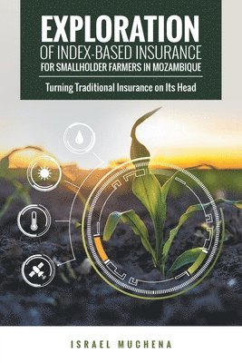 bokomslag Exploration of Index-Based Insurance for Smallholder Farmers in Mozambique